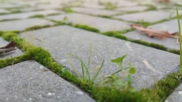 14.03.2026г.Тимур и его Команда. Азан (призыв на молитву).