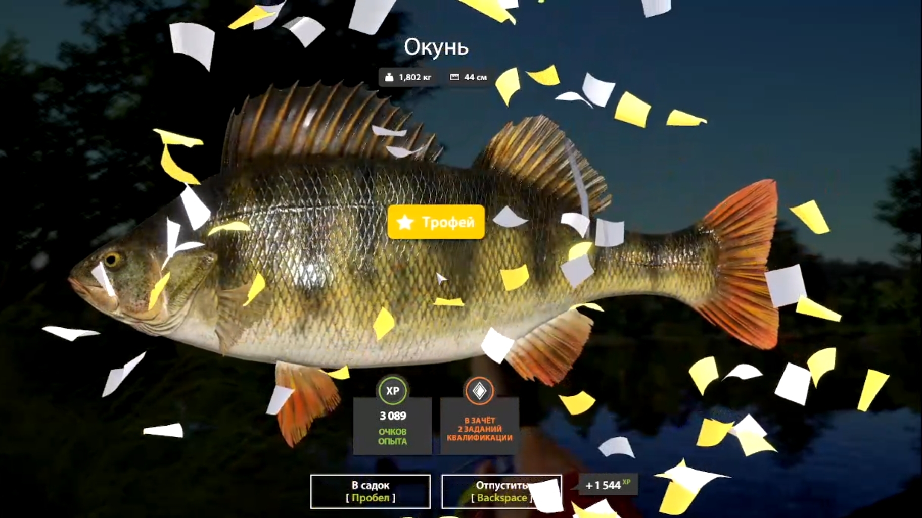 Русская рыбалка 4. Окунь на комаре