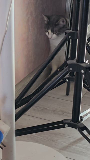 У Семён поклонница