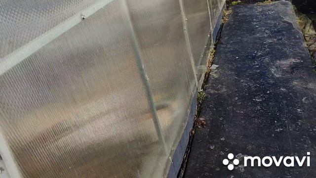 Теплица под томаты, подготовка к посадке томатов начата..