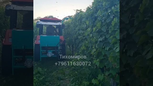 Чеканка обрезка винограда: навесное оборудование для быстрой обрезки