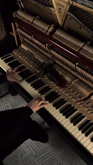 Solas By Jamie Duffy #aesthetic #piano #darkacademia