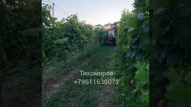 Чеканочное навесное оборудование для винограда (обрезка винограда)