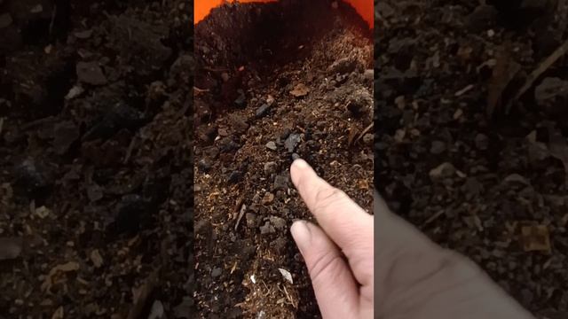 Обзор моих работ.