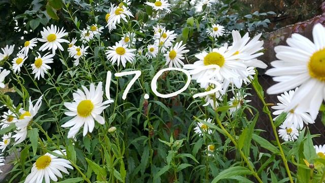 Лунный календарь для Комнатного цветовода с16.03-22.03.26г.