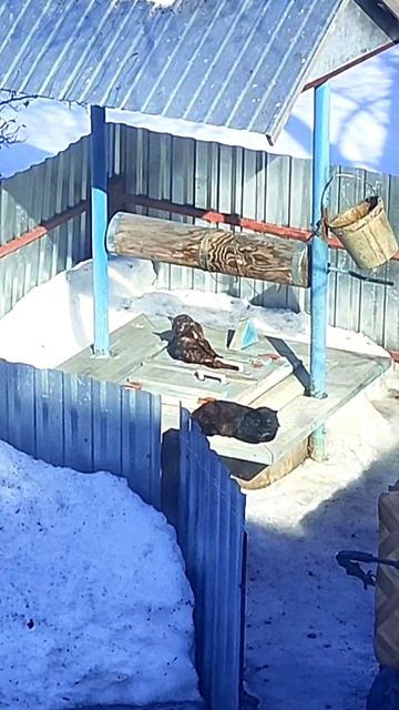 Весна пришла!!!