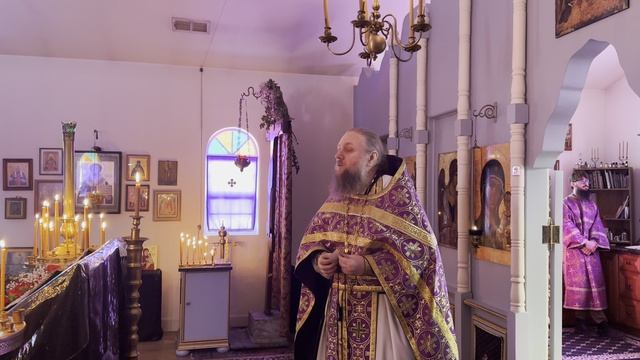 Древо жизни