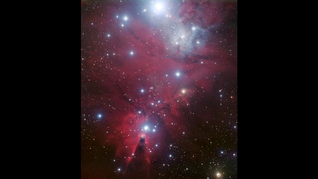 «Свой человек»