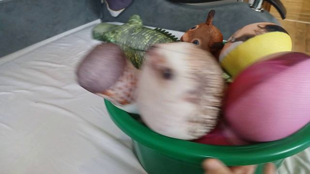 скебоб увидел что там смешные мультик от студии шемякин артем