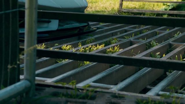 КАМАЗ мастер