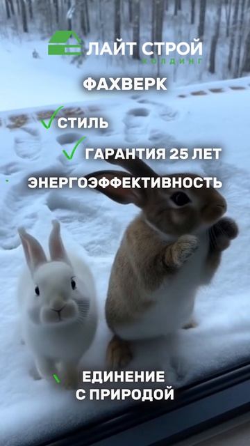 Фахверк или газобетон. Что выбрать?