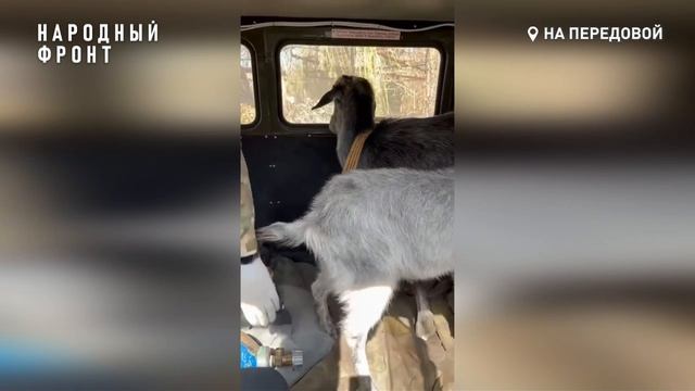 Мурманские бойцы делятся удивительными историями с передовой