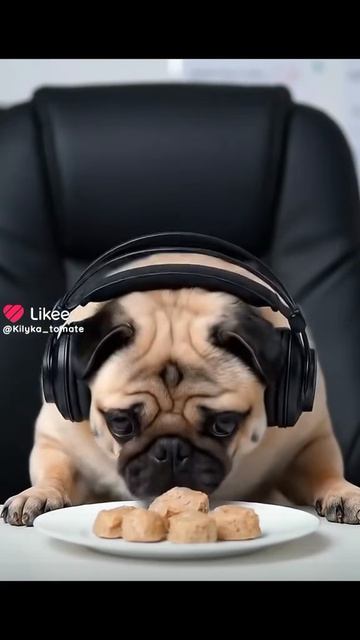 обзор на соевое мясо