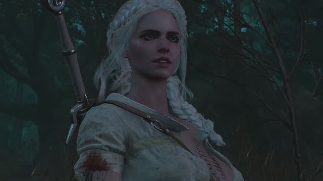 The Witcher 3 (3)