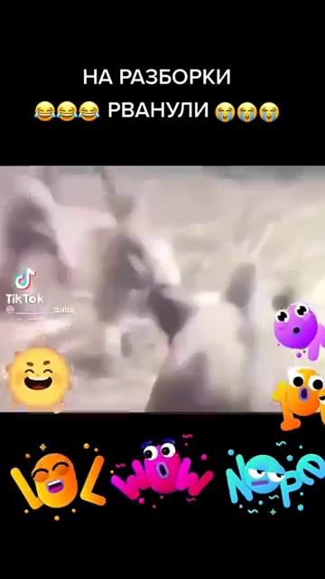 9f04f077baf1007e21ce72392887250f