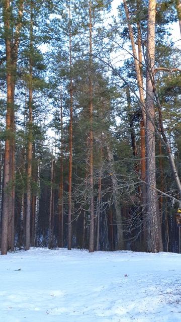 3513315f2b67b4d079939213002e3db5