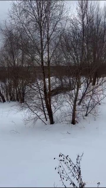 Video-2026-03-06-15-12-23_PB49UFKw