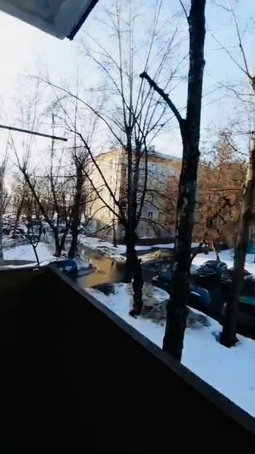 353ed051-b2a6-48d6-85a1-b9f68984c46a