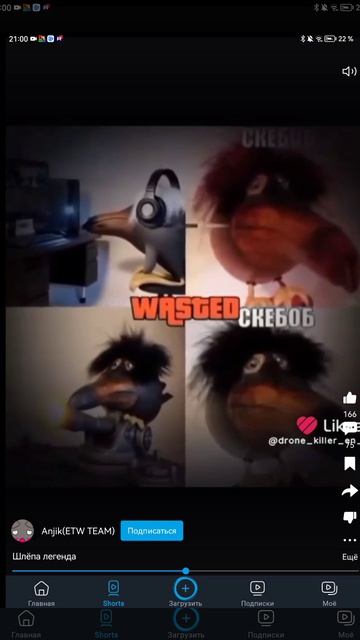 шлёпа легенда