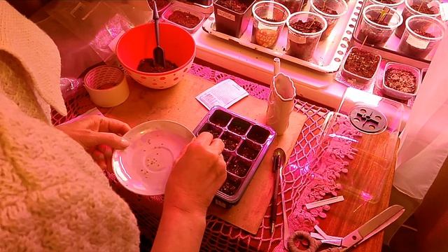 Добро пожаловать в мой домашний быт 🌱