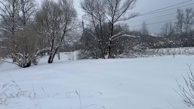 Video_2026-01-20_15-16-46