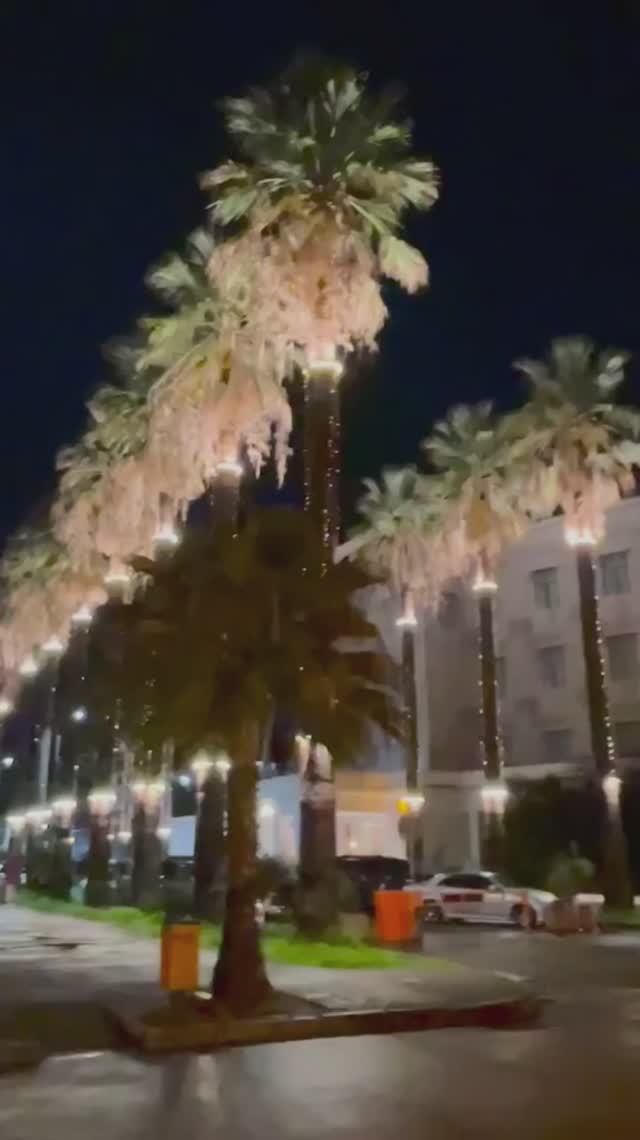 Абхазия, вечерний Сухум после небольшого дождя (середина марта, ВЕСНА-2026)