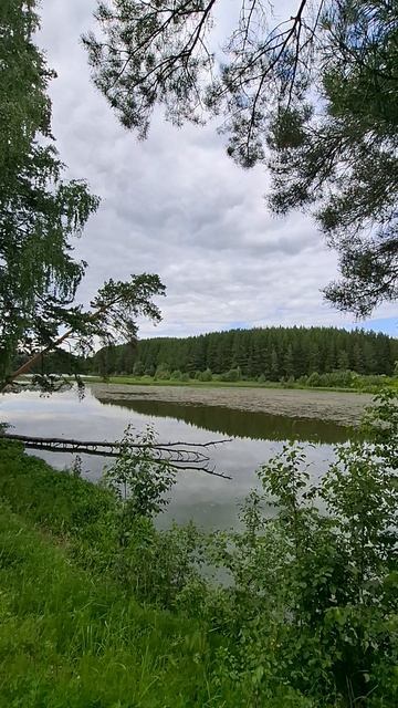 ЛЕТО! ЛЕТО! ЛЕТО!