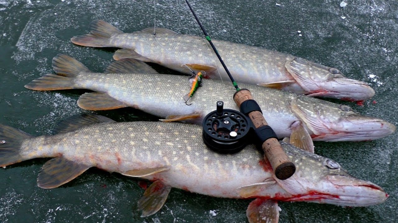 7da5f58c22740e033180366669c97506