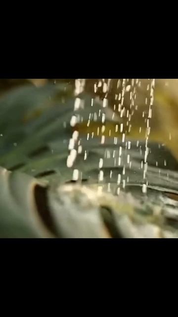 #залипательныйконтент  #тренды2023 #креативныйконтент #видеоарт #развлечение