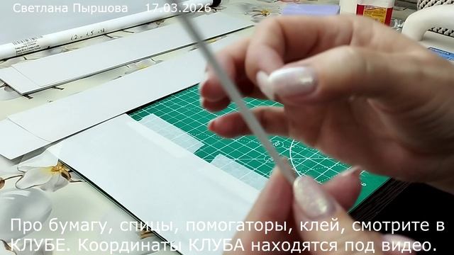 Накрутка эколозы