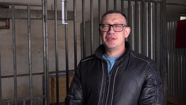 Приют для собак