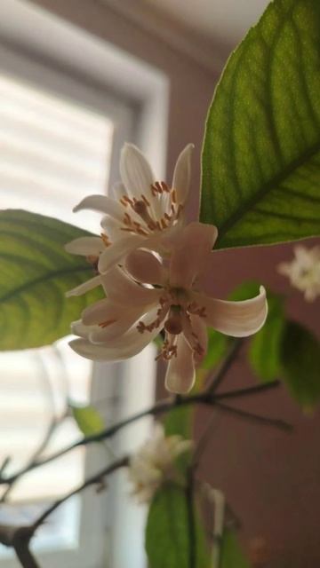 34caccbb92115c2182a51d05e360b6b8