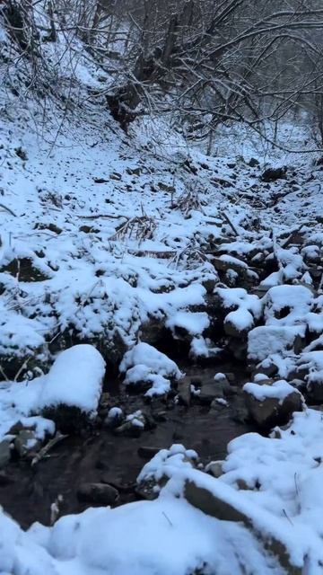 Приятный звук ручья