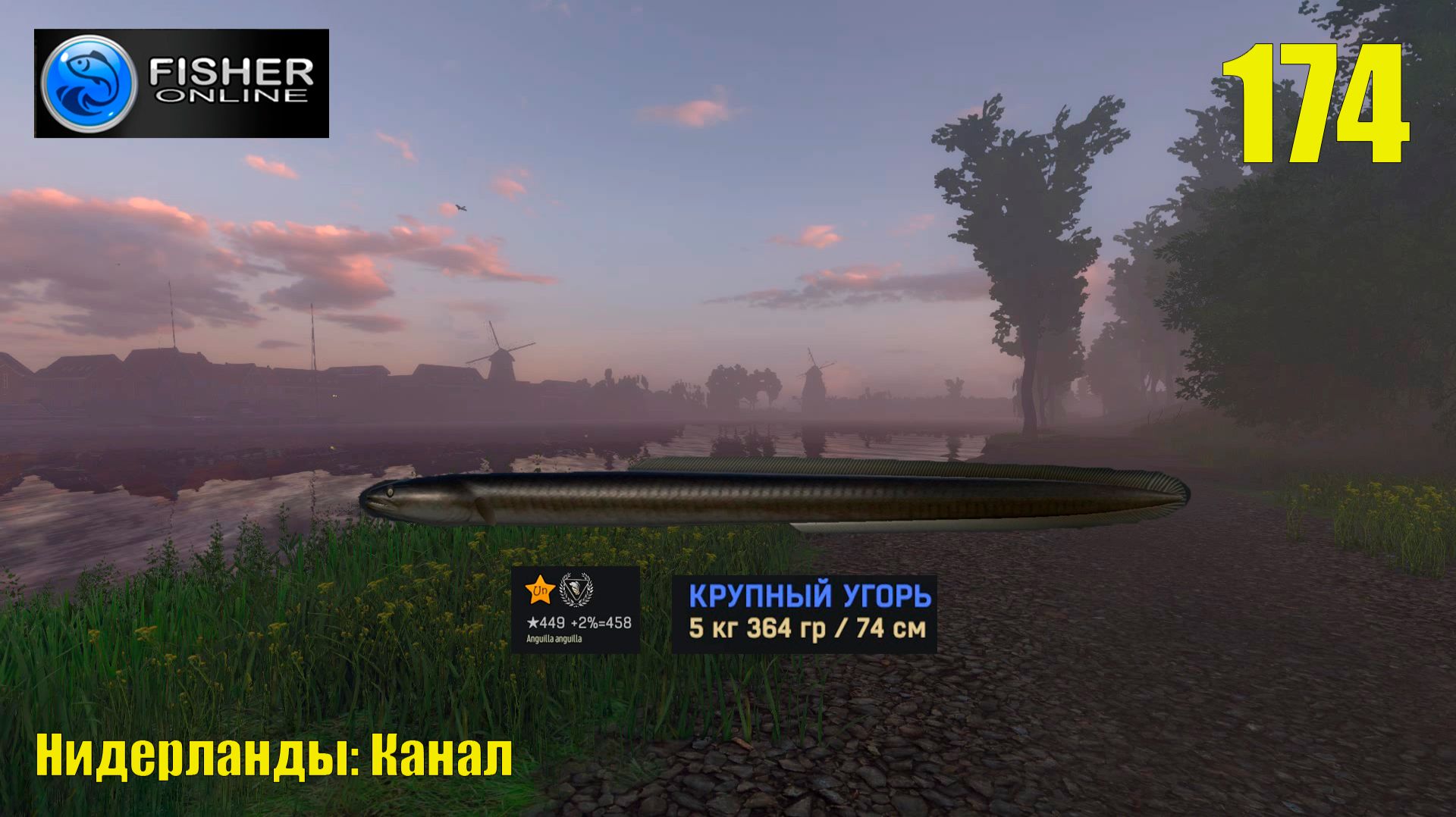 #174 Нидерланды: канал ч17 Путь к серебру: Угорь. Где и на что ловить крупного угря?  Fisher Online