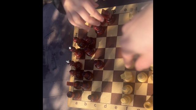 Осмотр растений на даче. Снег сошел. Ремонт камеры. Середина марта. #дача