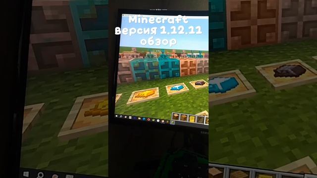 Обзор 
(майнкрафт) 
версия 1.12.11 (новейшая версия)