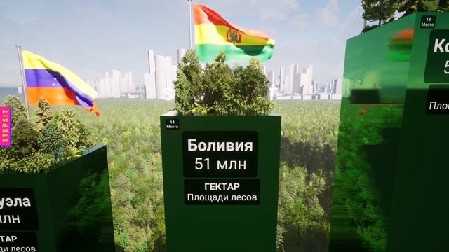 Страны по площади лесов