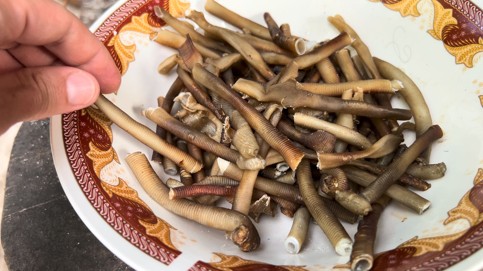 Охота и приготовление морских червей