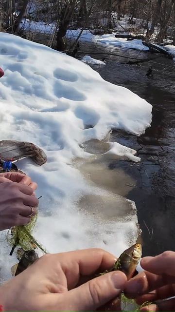 375b872bc03946824ce18df9eb75915e