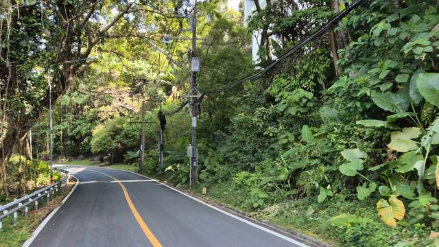 Тай! Пхукет. Декабрь 2025