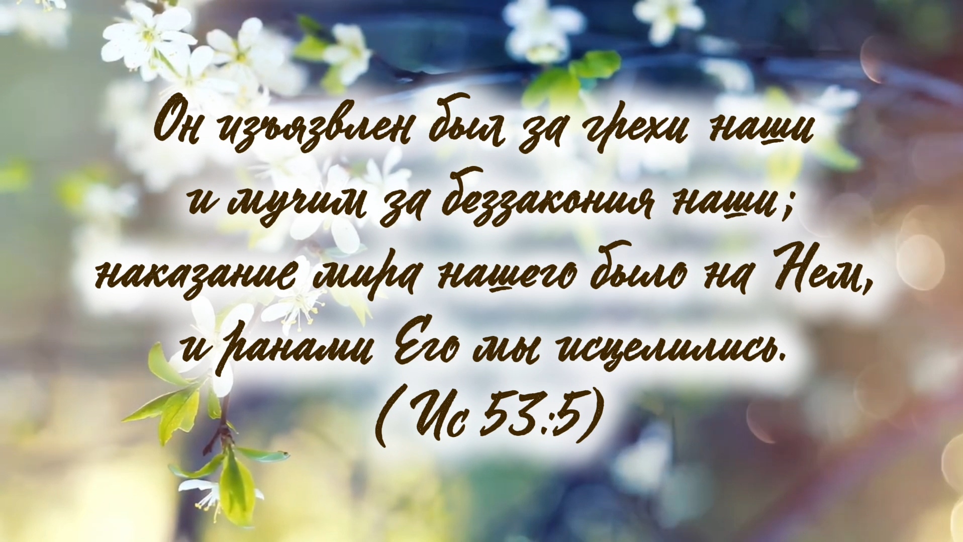 Терновый венок. Багряница и Кровь | христианская песня | Игорь Малюк