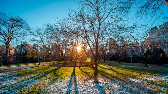 Анна Опарина 