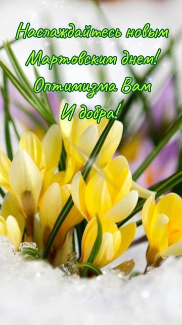 Доброе утро