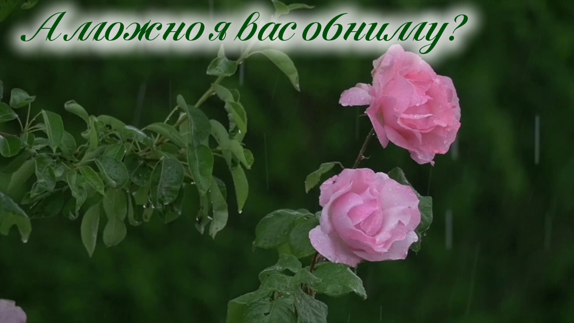 А можно я вас обниму? | христианская песня | Надежда Кудрина