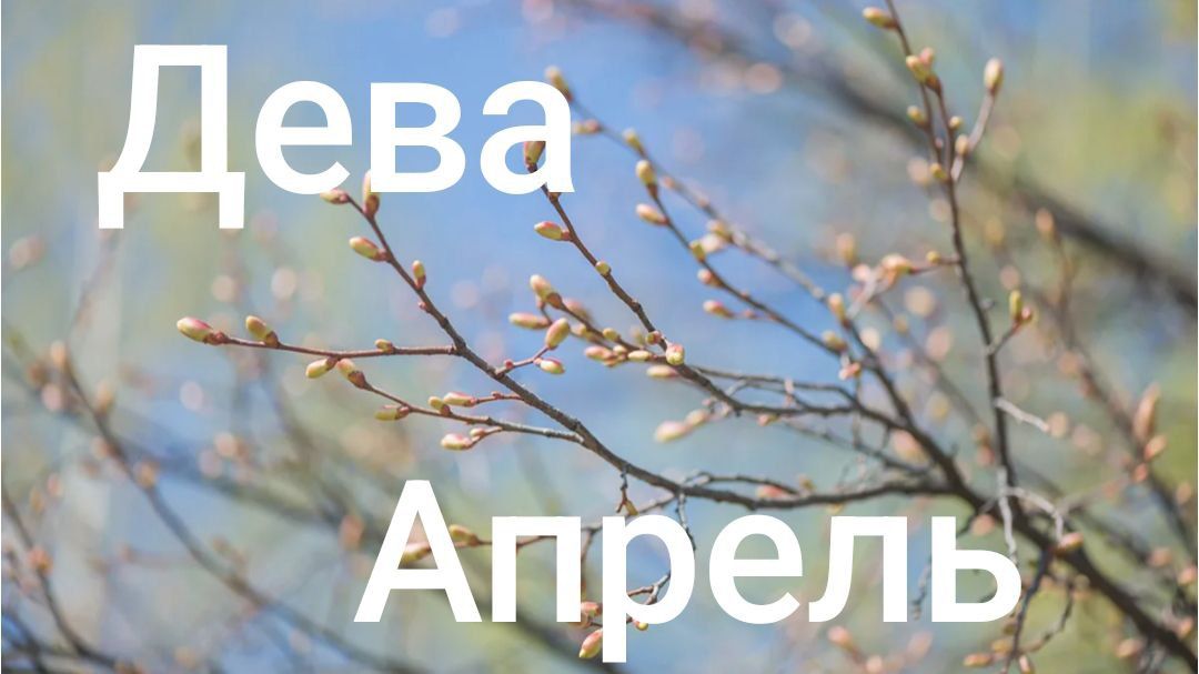 Таро расклад для Дев на апрель 2026 года