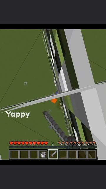 1000007105.mp4