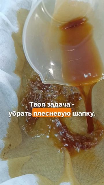 Плесень в зерновой браге? 90% делают неправильно