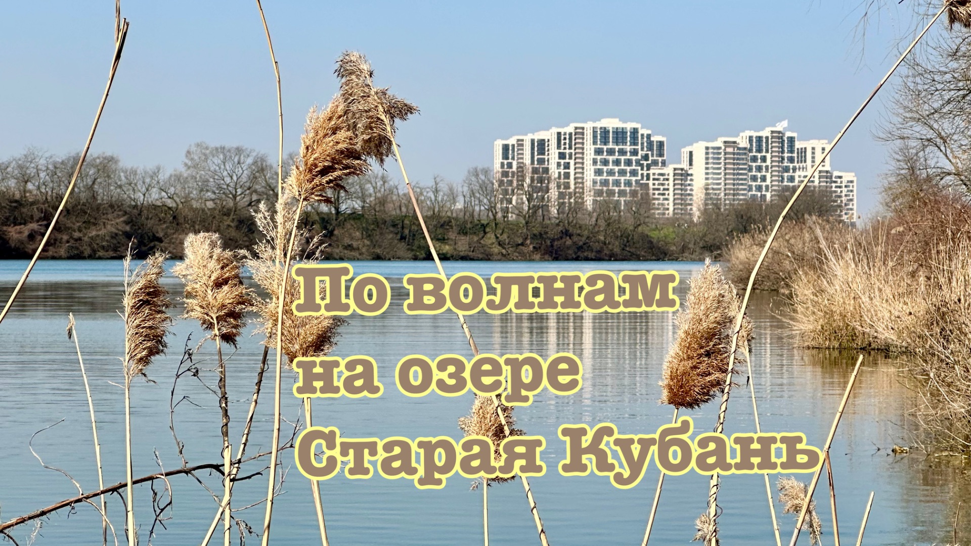 5a85ec934f84c07bc5852edc268c01b5