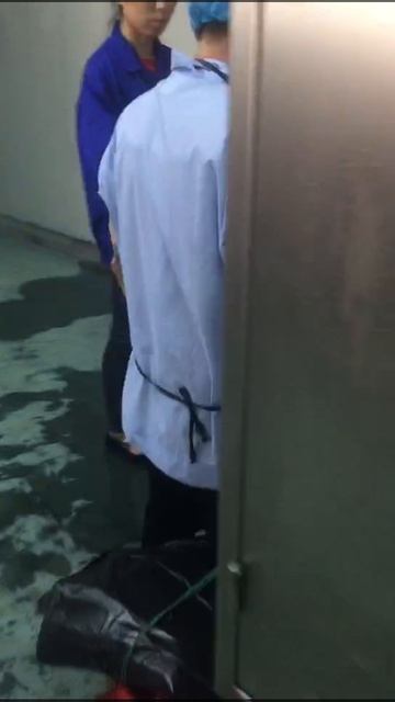 Haaschi Cake Machine Egg Crack Cream Depositor Aerator Mixer (1)