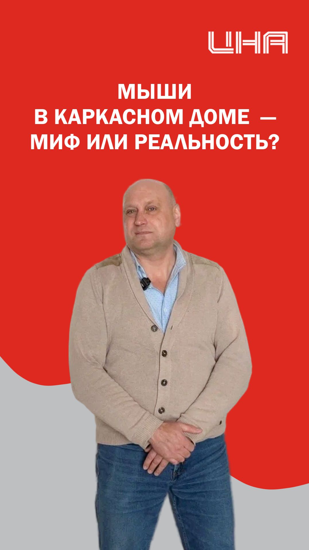 Мыши в каркасном доме: миф или реальность?